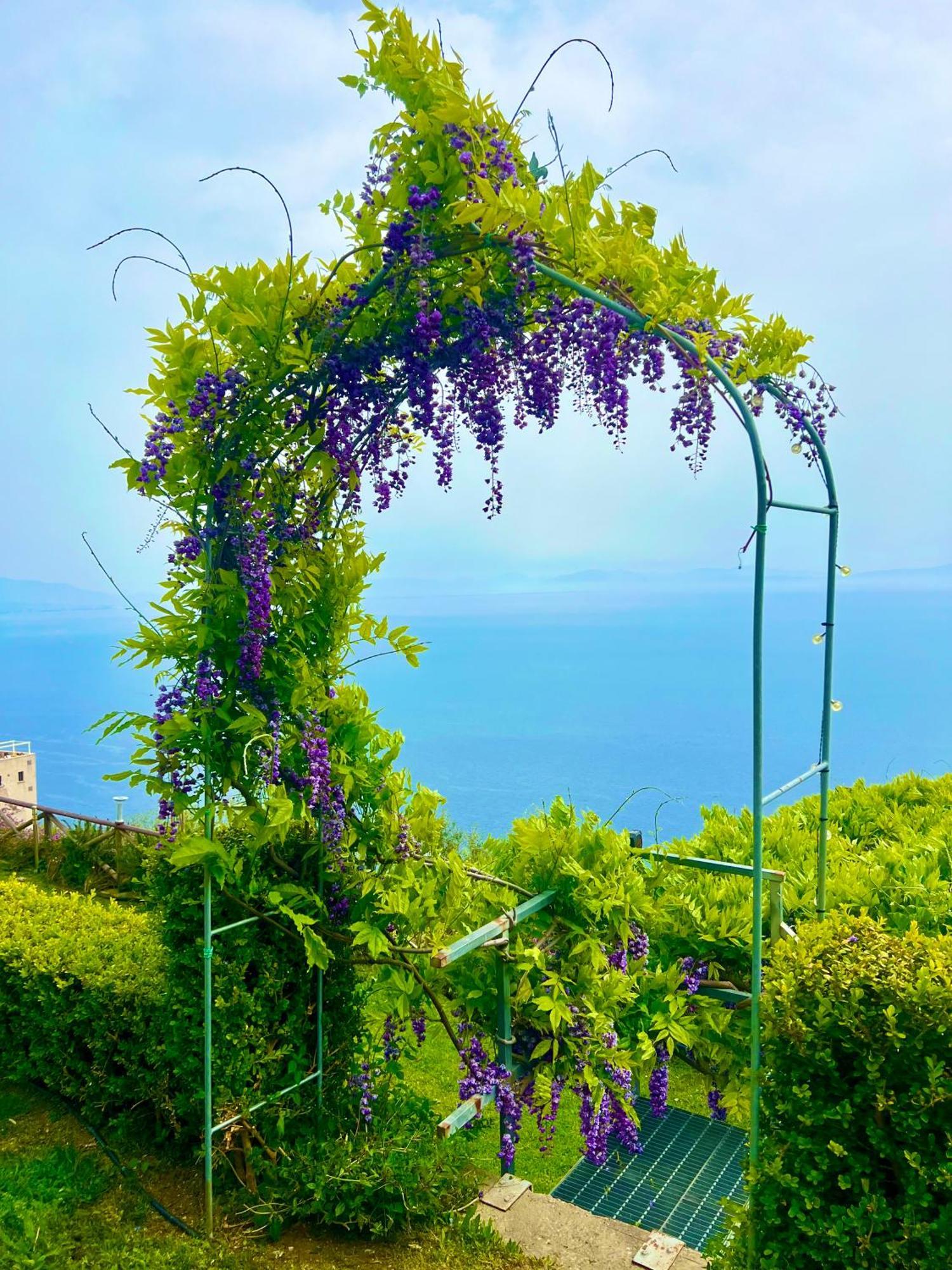 B&B Il Pavone Conca dei Marini Dış mekan fotoğraf